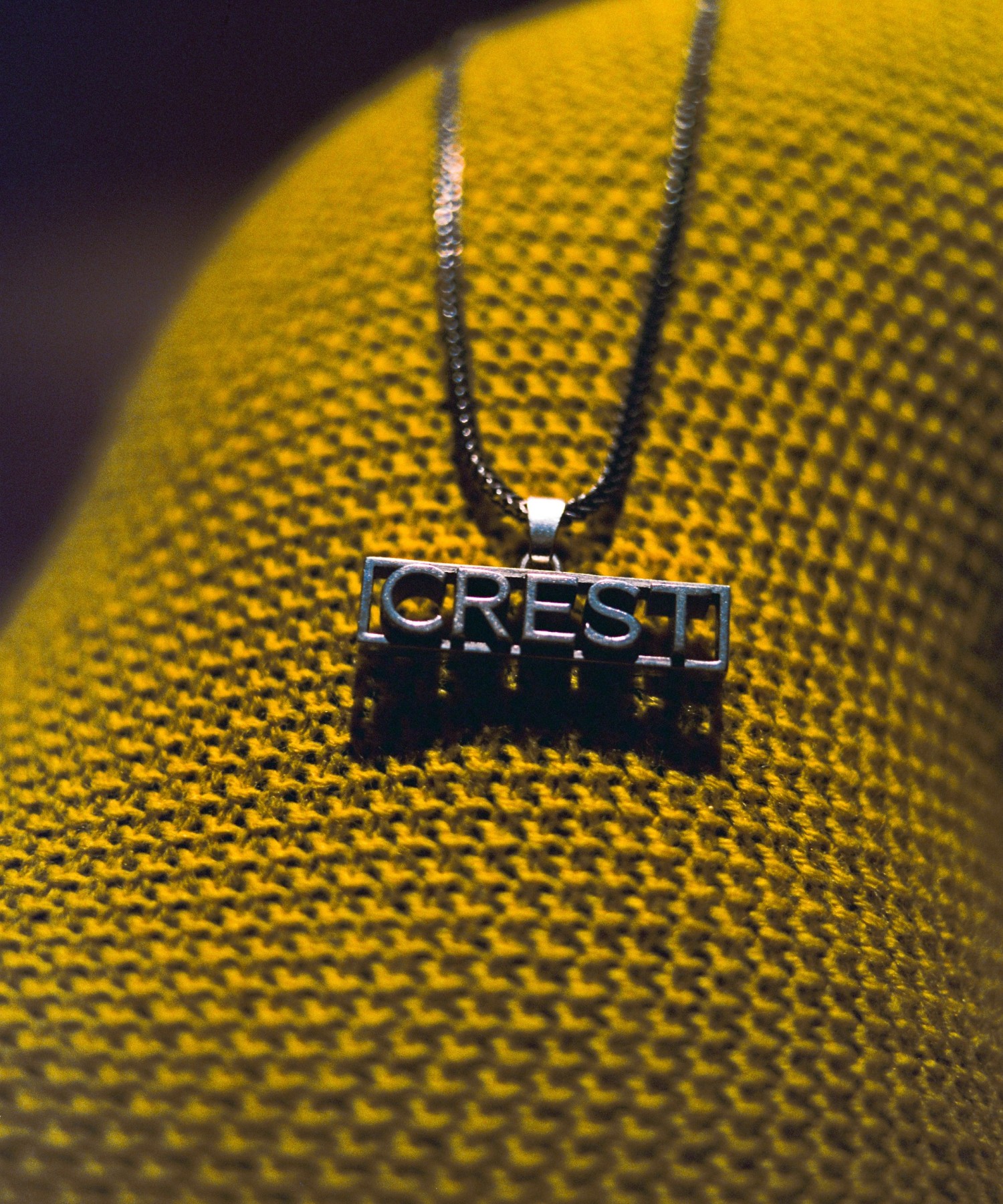 crestsw2340.jpg